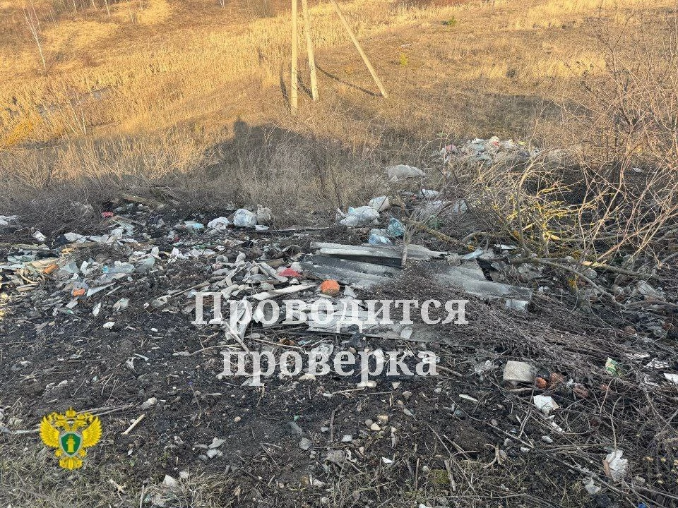 В Арсеньевском районе обнаружили несанкционированную свалку и нарушения на контейнерных площадках.