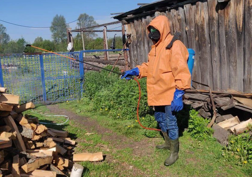Ульяновские ветеринары готовятся к вылету мошки в Сурском районе | ФОТО: Агентство ветеринарии Ульяновской области
