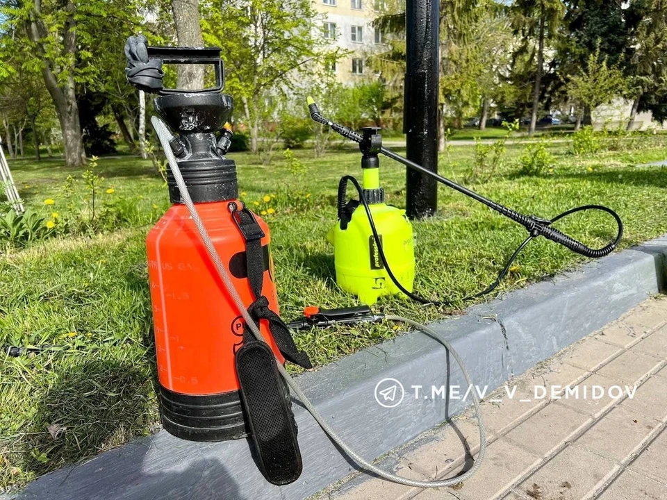 Фото администрации города Белгорода