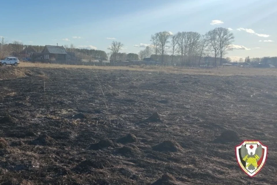 Общая площадь пожаров составила около 0,6 га. Фото: Государственная противопожарная служба Удмуртии