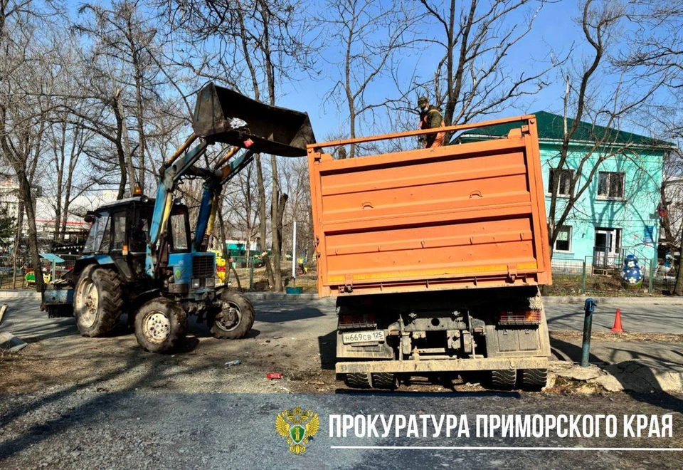 Мусорные горы здесь образовались уже давно. Фото: прокуратура Приморья