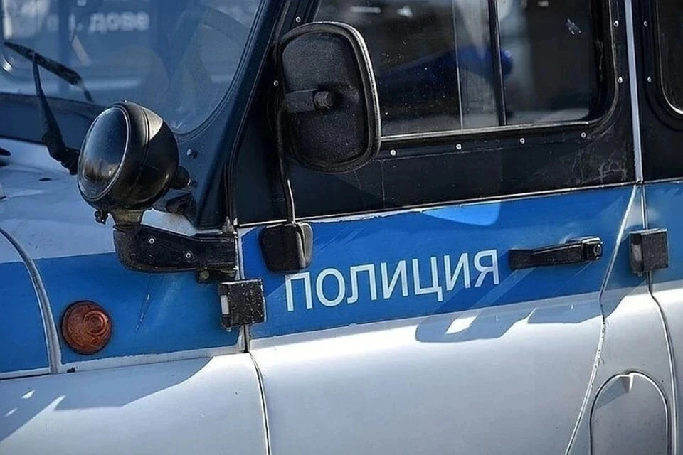 Зоозащитники забрали животное.