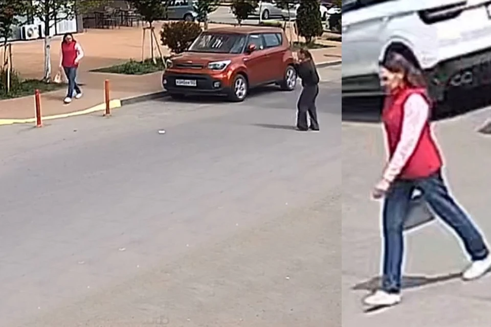 Полиция разыскивает женщину, попавшую в камеры видеонаблюдения