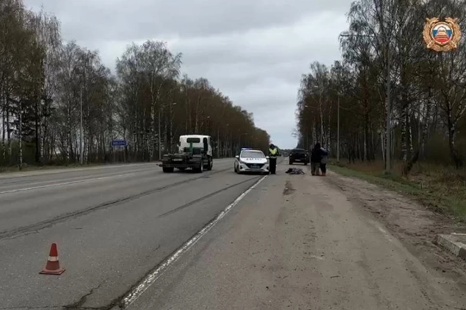 В Ярославском районе погибла девушка. ФОТО: Госавтоинспекция Ярославской области
