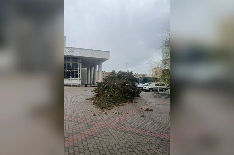 Ураган вернулся: горожане сообщают о сорванных крышах и поваленных деревьях в разных районах Красноярска