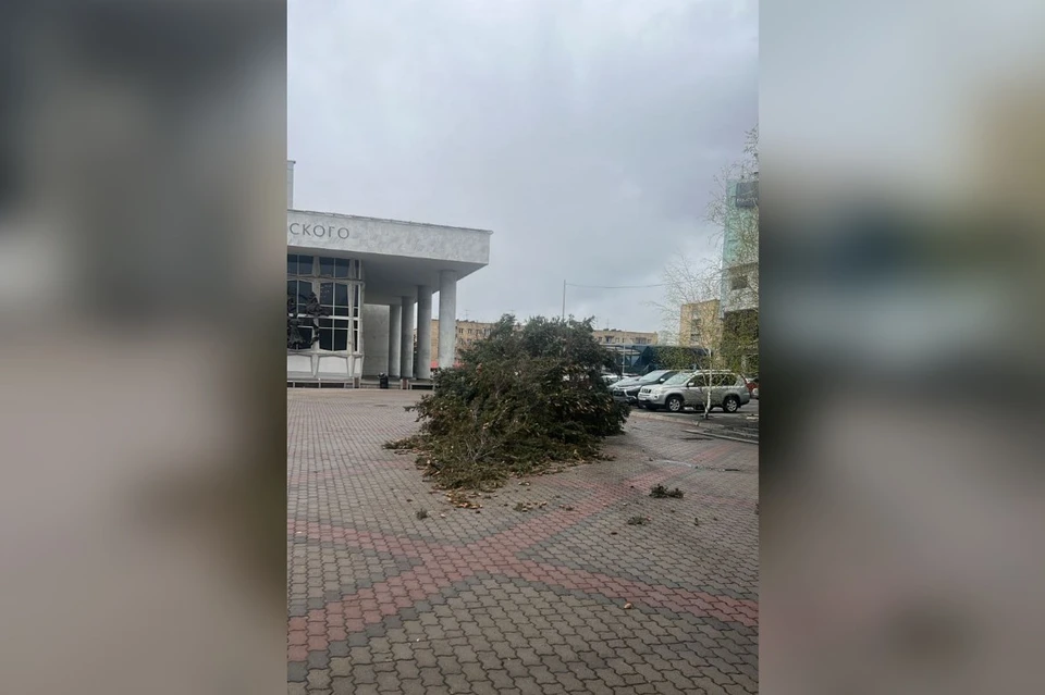 Фото: МАУ «Красгорпарк»