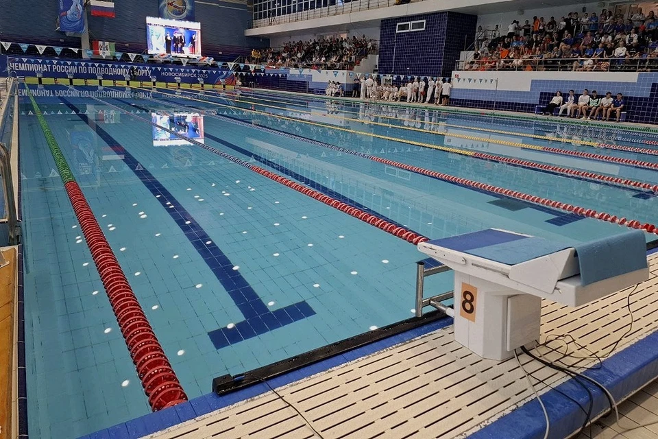В Новосибирске начался чемпионат России по подводному спорту. Фото: правительство Новосибирской области
