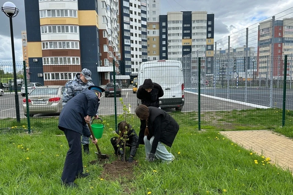 Фото: пресс-служба Брянской городской администрации.