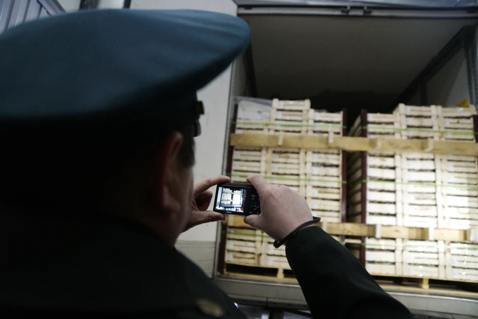 Овощи и фрукты завозили в регион без проверок