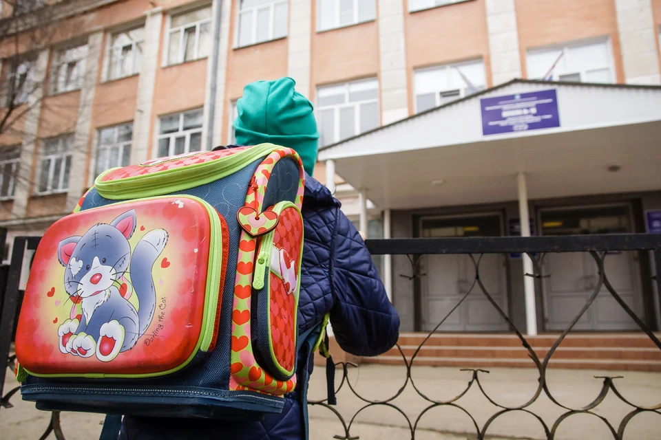Жители ульяновского поселка Красный Бор борются за единственную местную школу