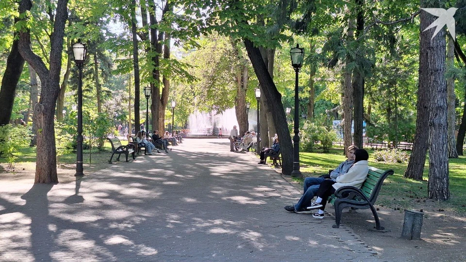 Весна продолжается. Фото: КП