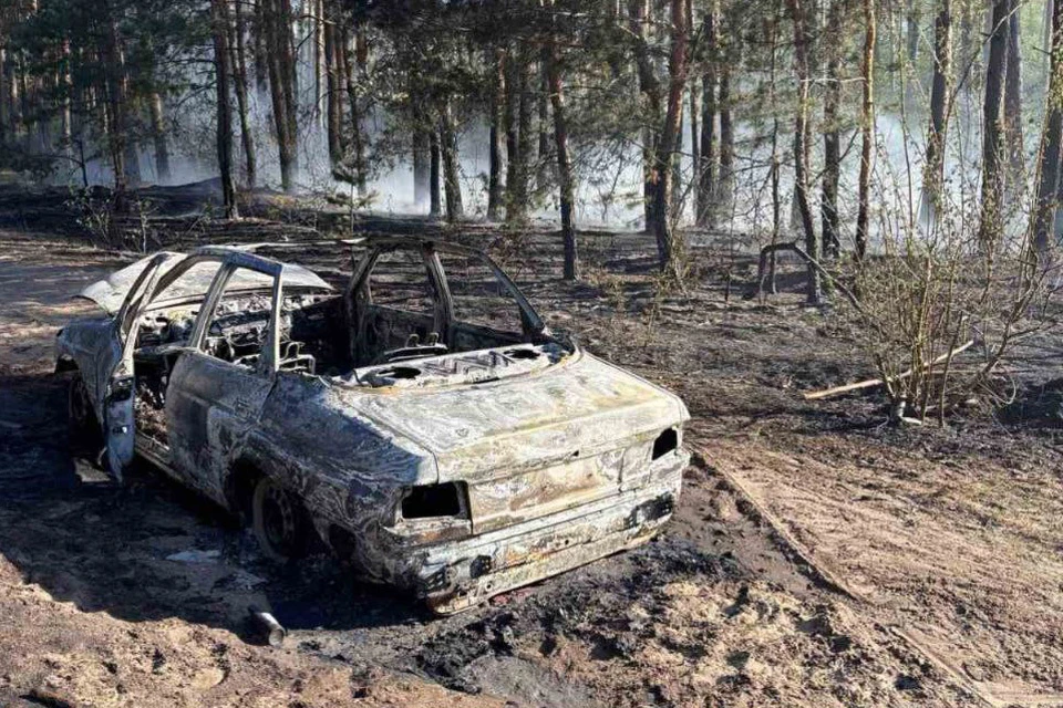 Поджог автомобиля стал причиной лесного пожара в Беларуси. Фото: Министерство лесного хозяйства