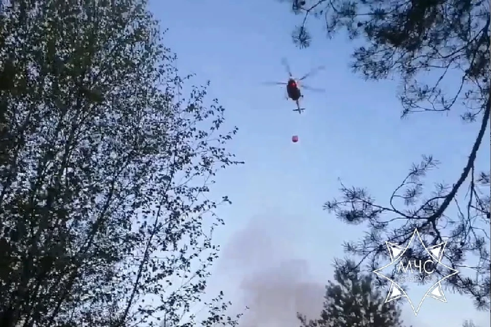 МЧС сказало о сильном пожаре на границе. Фото: стоп-кадр | видео МЧС.