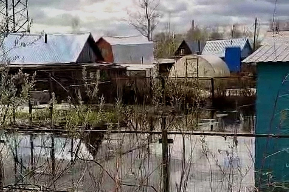 В Первомайском районе Новосибирска несколько СНТ затопило грунтовыми водами. Фото: скриншот из видео паблика «Моя Первомайка»
