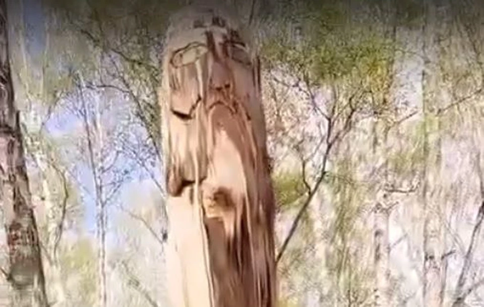 Кадр видео