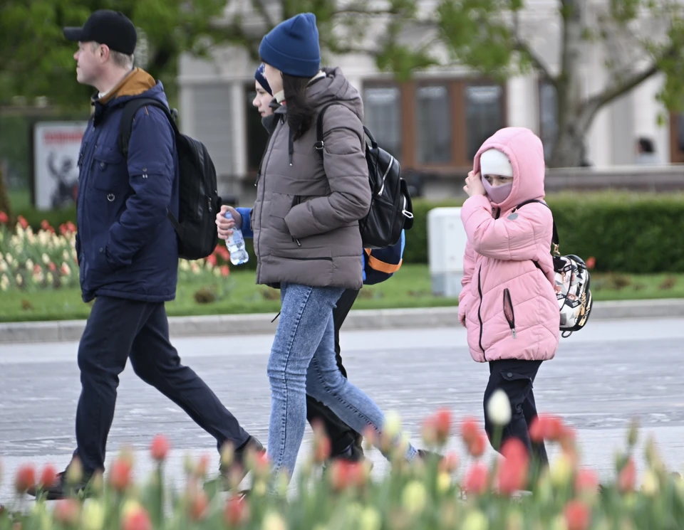 Росстат: доля бедных многодетных семей в РФ снизилась