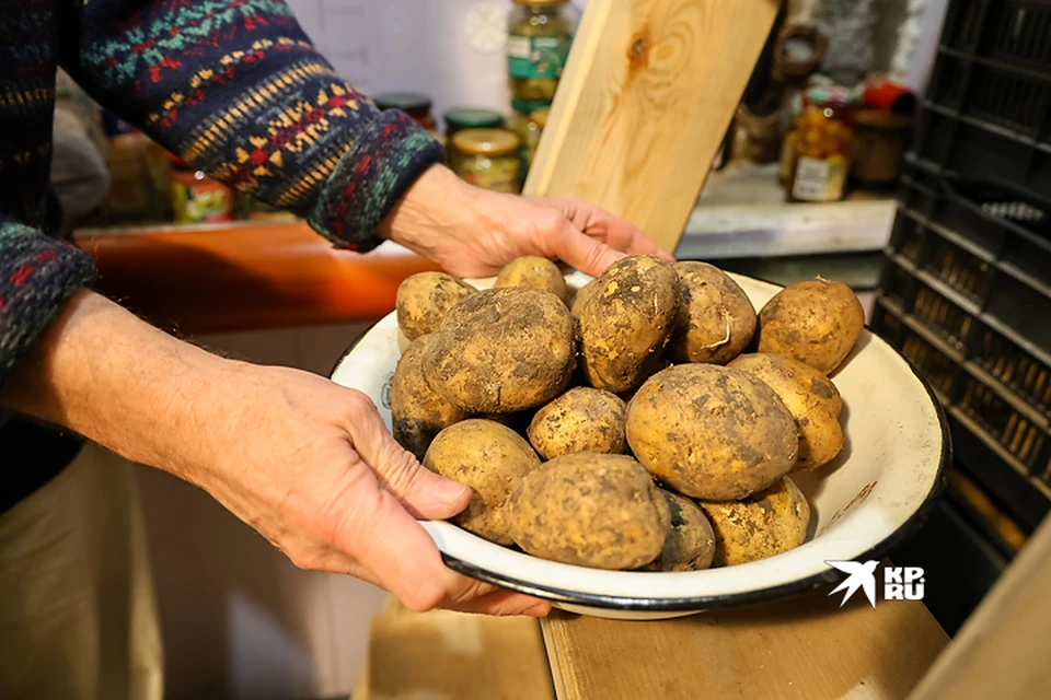 На Среднем Урале второй год дорожает картофель