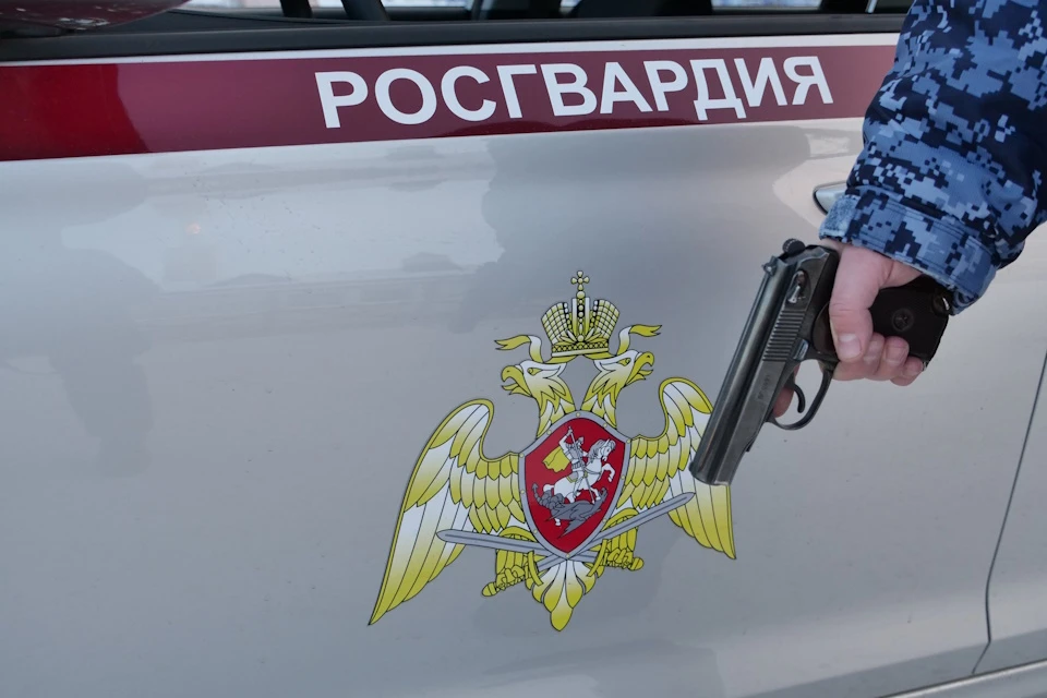 В Подмосковье росгвардейцы задержали мужчину подозреваемого в угрозе убийством