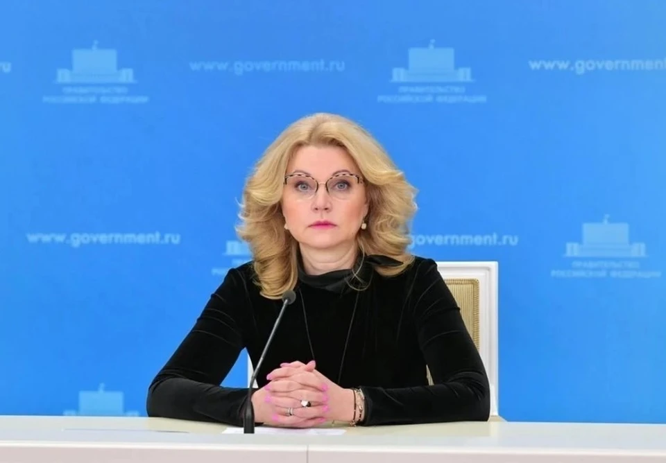 Вице-премьер РФ Голикова встретила Си Цзиньпина в аэропорту «Внуково-2»