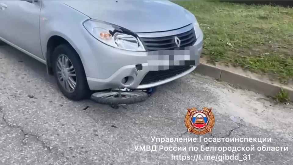 Фото: пресс-служба Госавтоинспекции по Белгородской области.