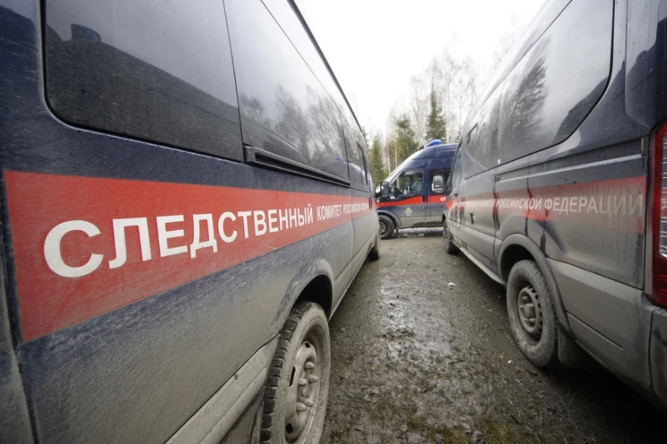 СК проверяет гражданство родителей детей, записавших видео с георгиевской лентой