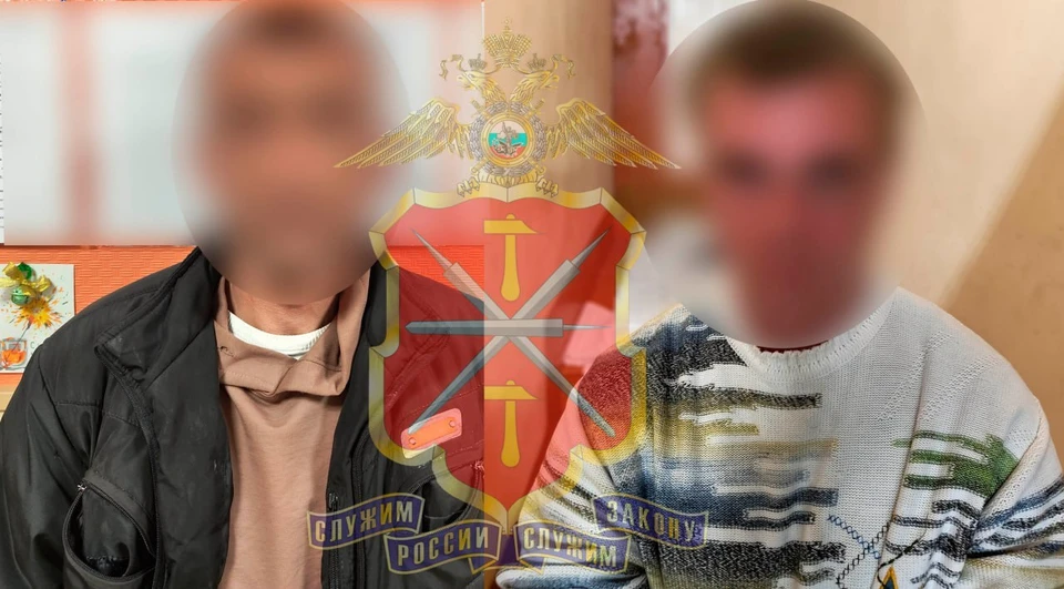 В Туле задержали двух поджигателей автомобилей