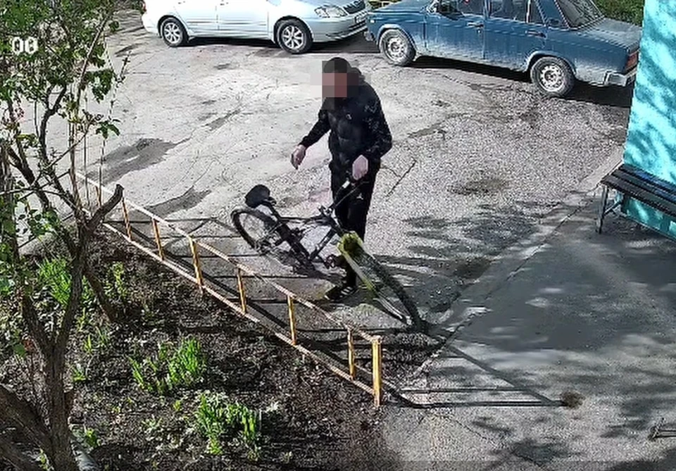 Фото: УМВД России по Омской области