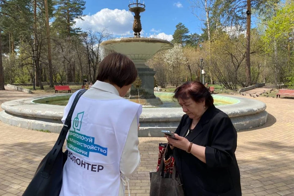 Тем, кто затрудняется использовать онлайн-сервис Госуслуг, помогают волонтеры.