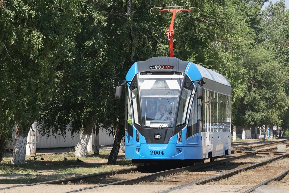50 «Львят» приедут в депо имени Апакова уже в этом году, еще половина – в следующем. Фото: Дмитрий Рогулин/ТАСС