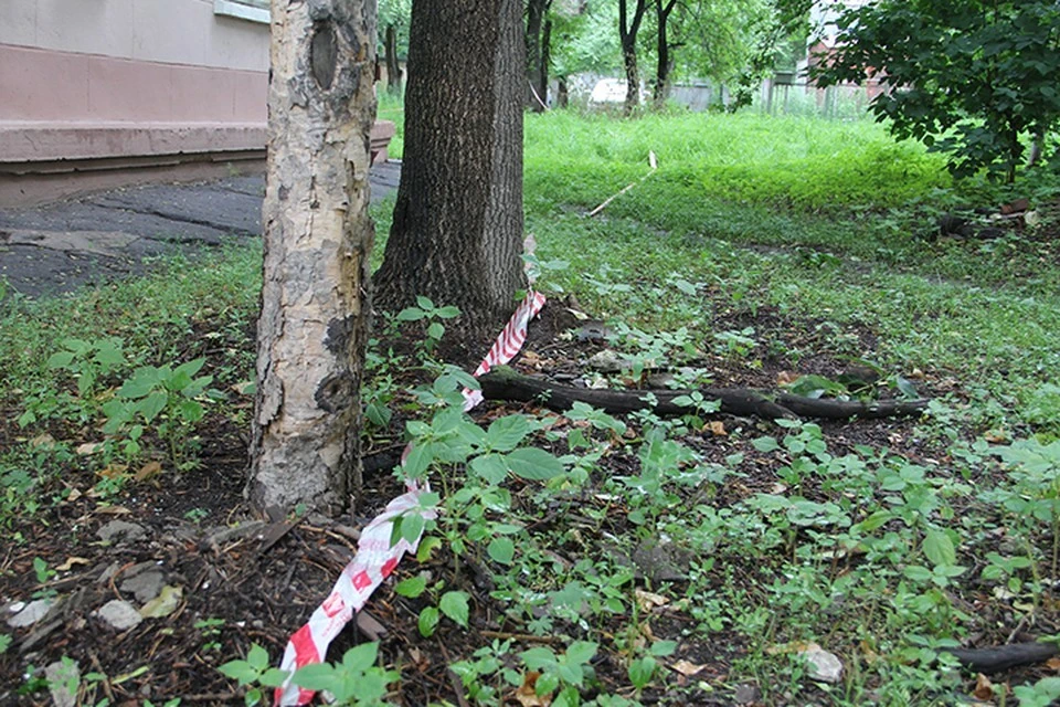 Девочку нашли под деревом на Краснореченской улице