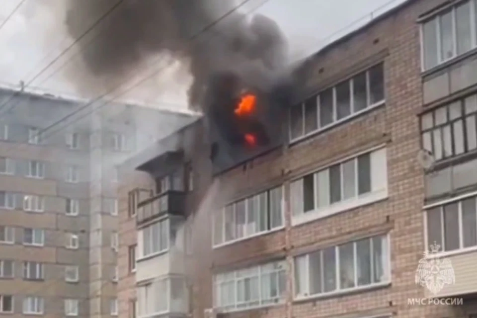 На пожаре никто не пострадал. Фото: МЧС Удмуртии