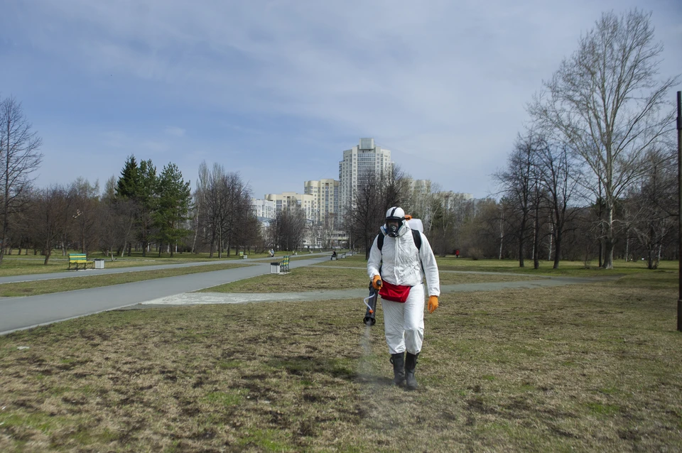 В Перми обработали от клещей территории кладбищ, городских парков, скверов и лесов.