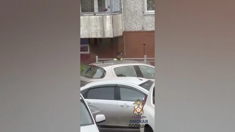Фото: пресс-служба УМВД России по Омской области