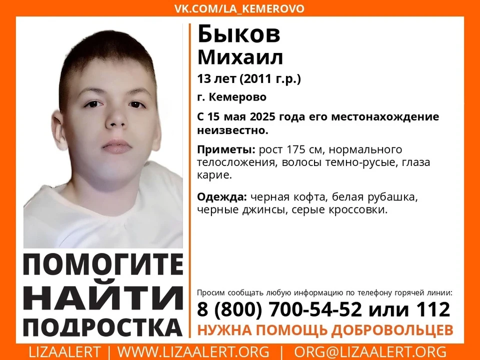 Фото: ПСО "Лиза Алерт Кузбасс".
