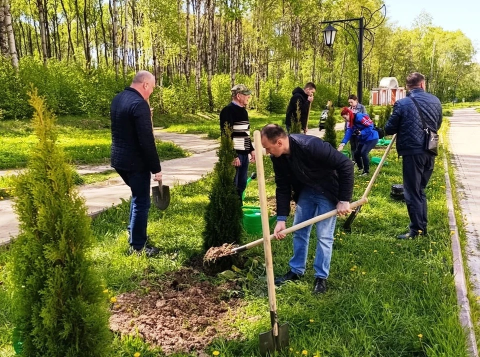 В Губернском парке Калуги высадили 30 туй в рамках акции «Сад памяти».