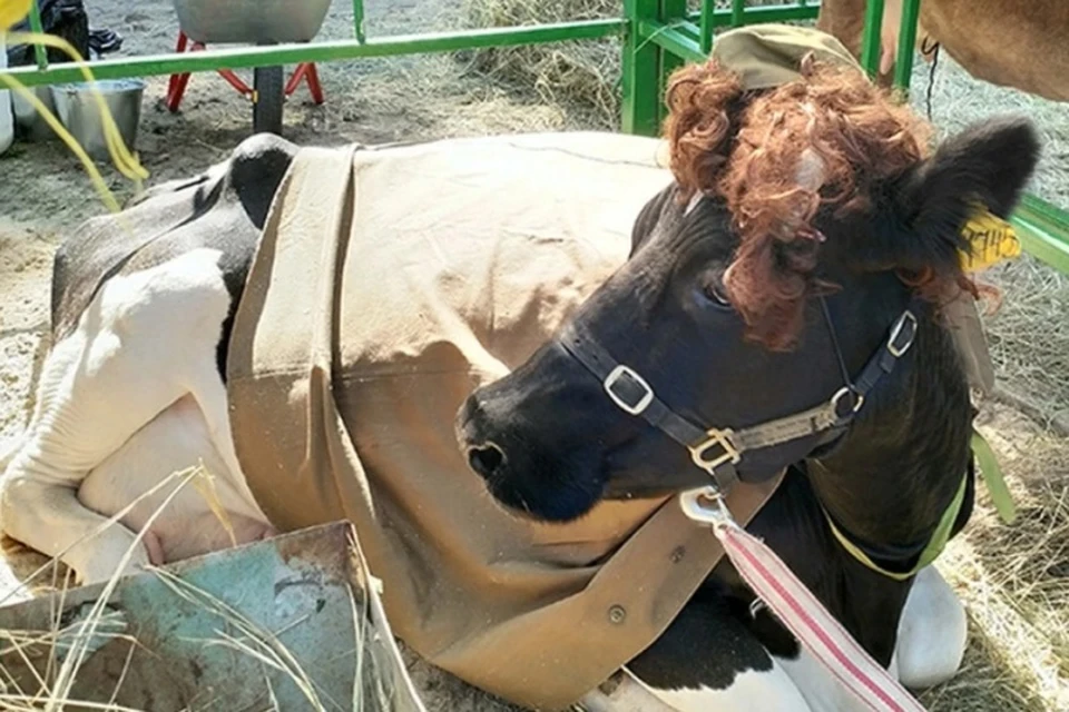 Фото: Елена РАКОВА.