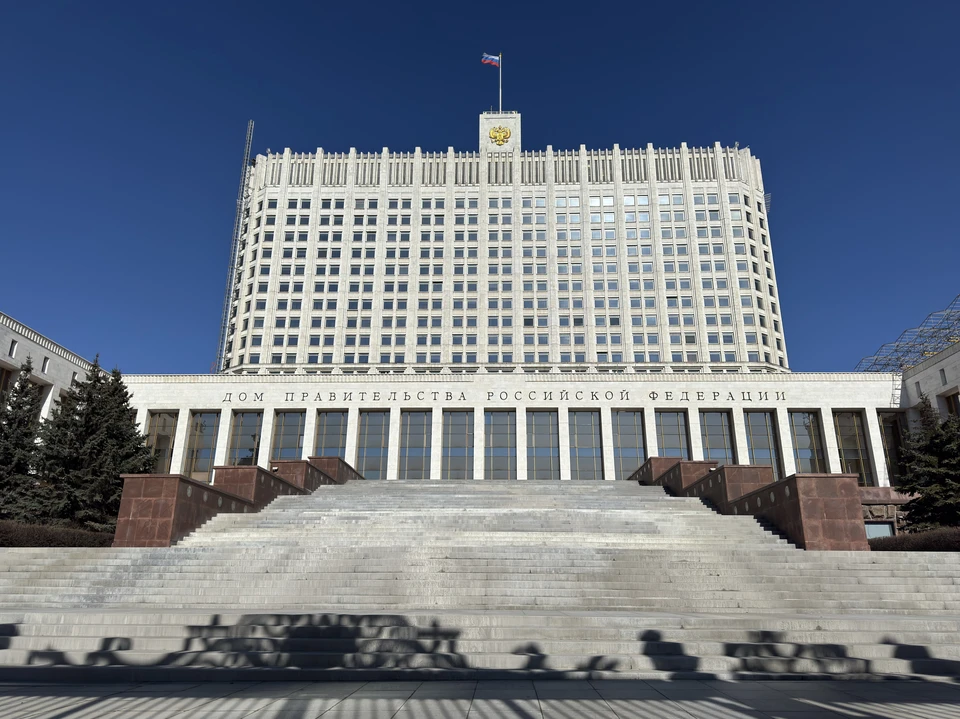 Правительство не поддержало введение выплат домохозяйкам