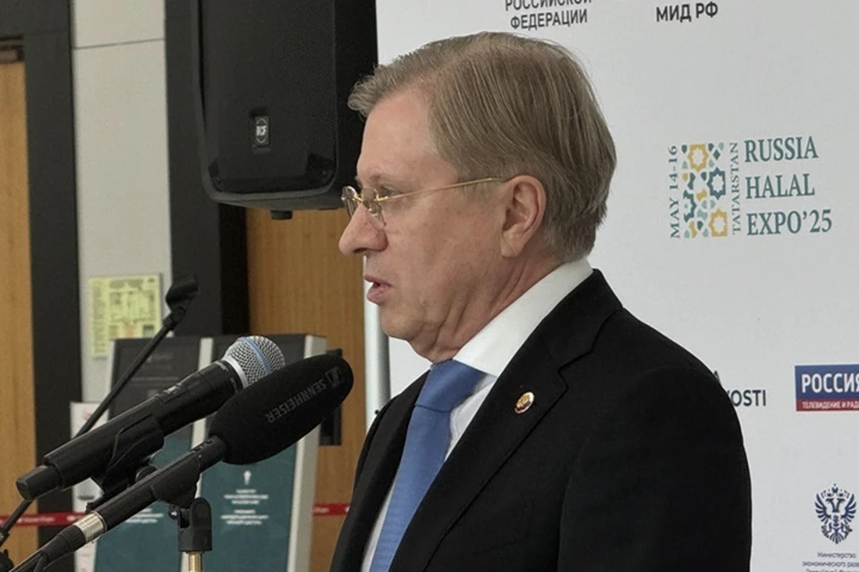Савельев уверен, что транспортный коридор станет альтернативой Суэцкому каналу.