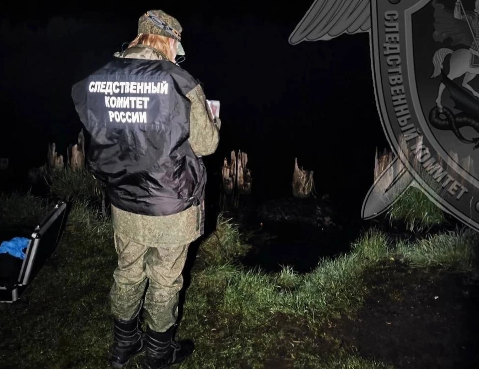 Источник: пресс-служба СУ СК России по Костромской области