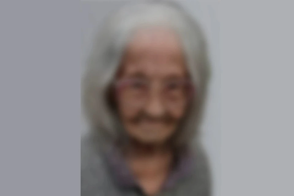 В Новосибирске пропала 86-летняя пенсионерка в халате. Фото: ДПСО «ЛизаАлерт» по Новосибирской области