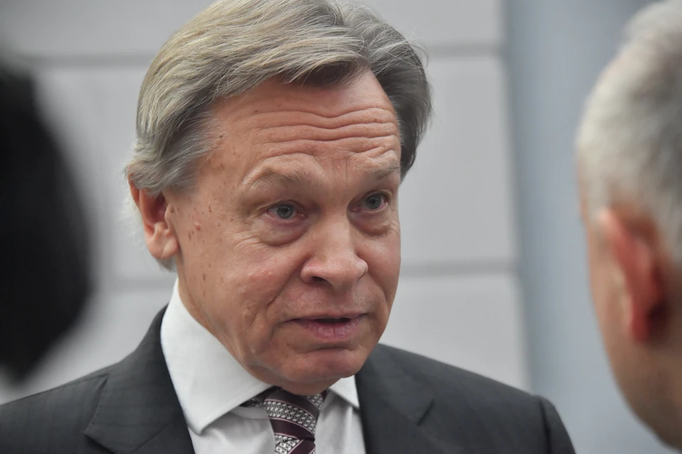 Пушков заявил о русофобии Стубба и его неадекватной оценке реальности