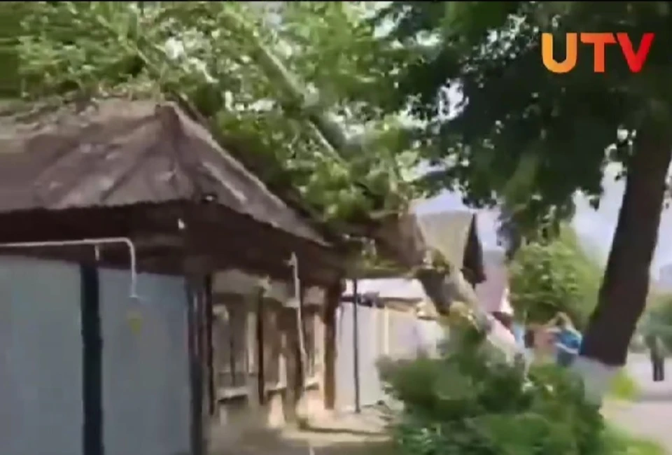 В Уфе дерево рухнуло прямо на частный дом.