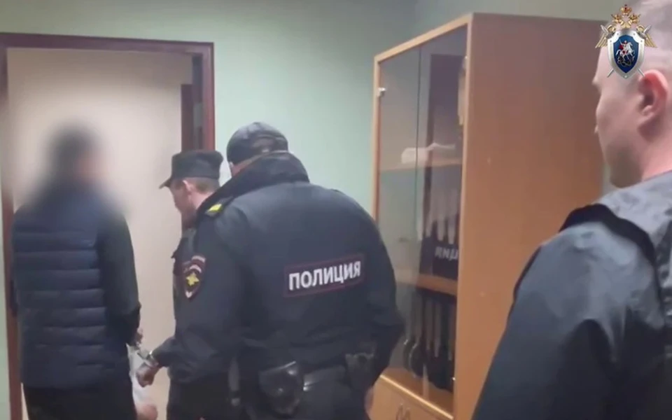 Задержали за нападение на таксиста. Фото: СУ СК РФ по УР