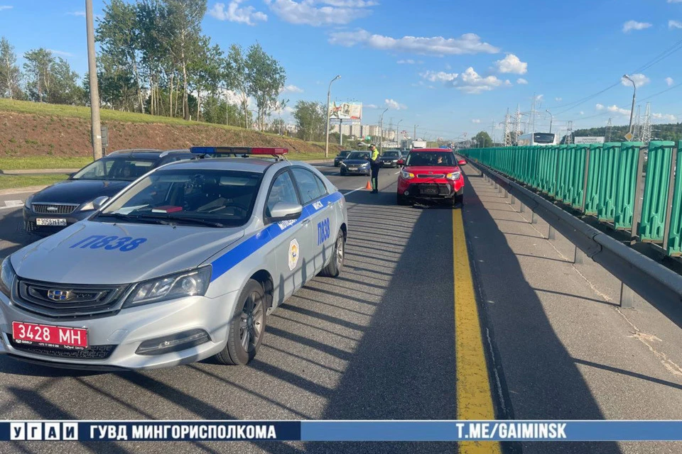 Водитель сбил насмерть косулю на дороге в Минске. Фото: УГАИ ГУВД Мингорисполкома