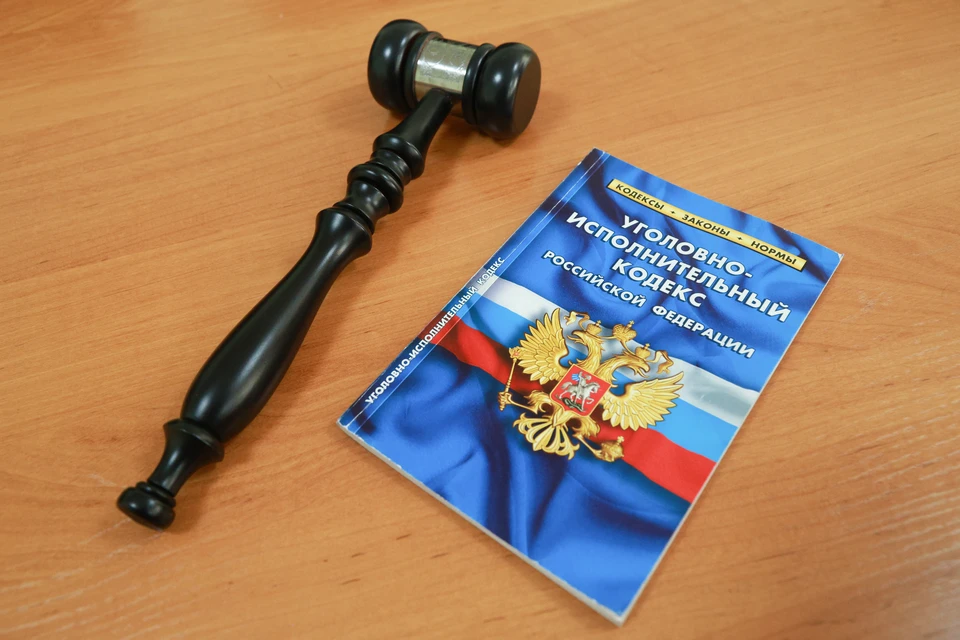 Дело рассматривали по ч. 1 ст. 318 УК РФ