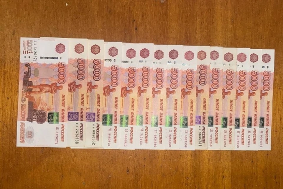 В Горловке задержали мошенницу, выманившую у пенсионерки 700 тысяч рублей. Фото: МВД по ДНР