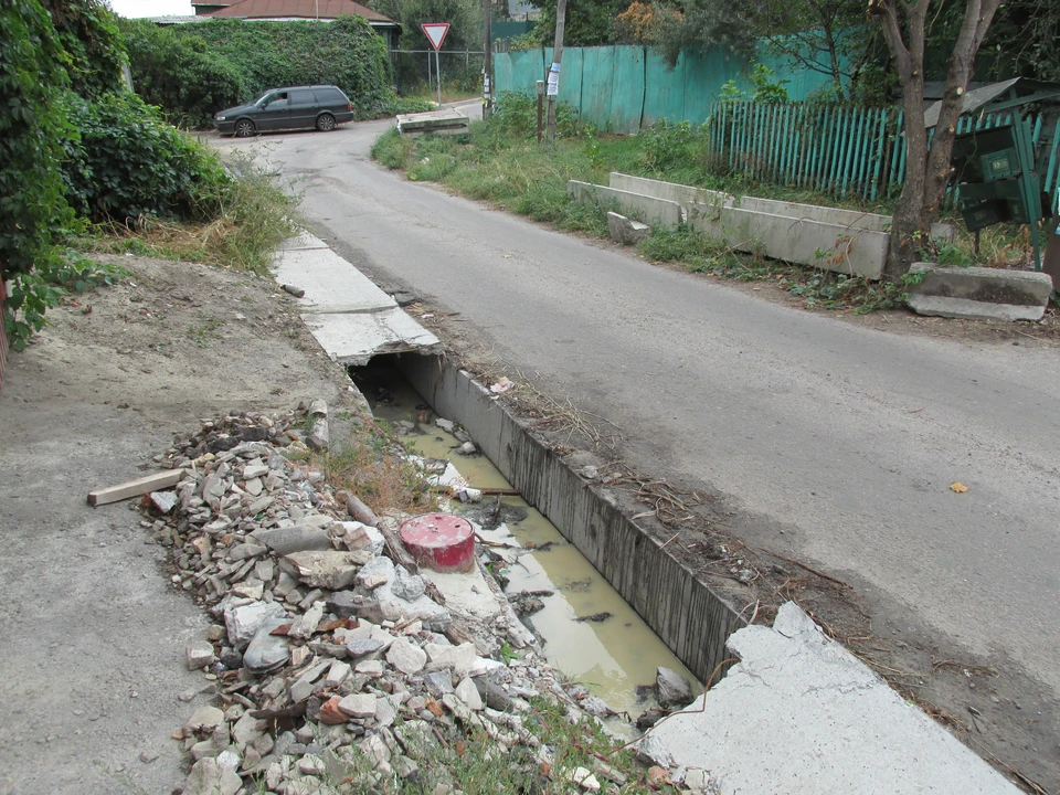 Фото Елены Федяшевой