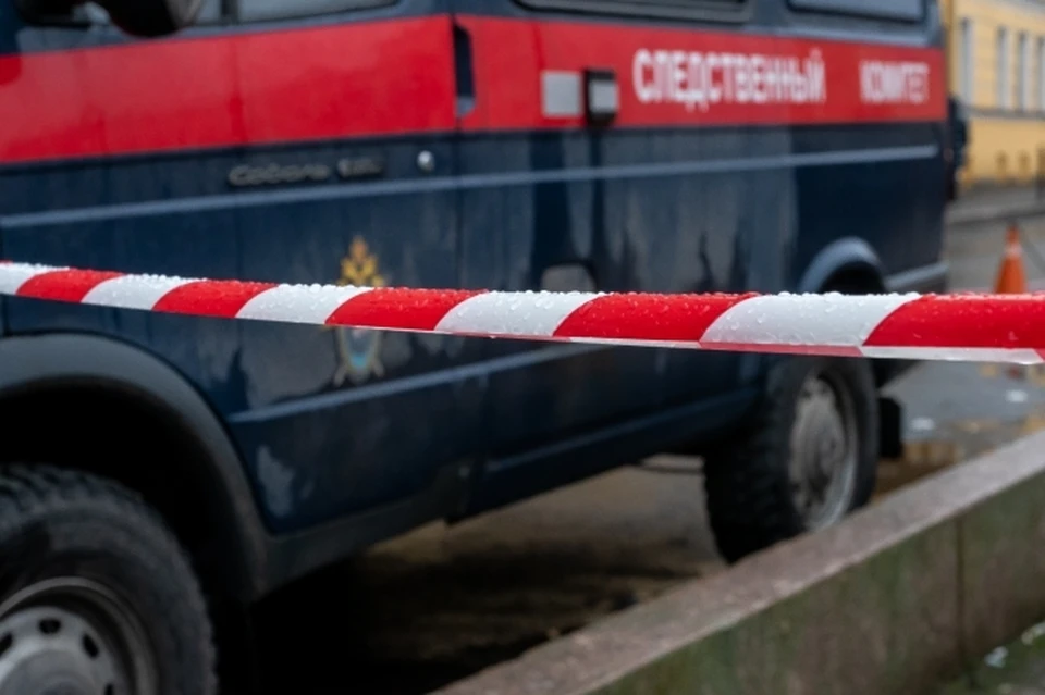 В Запорожской области выясняют обстоятельства гибели девушки при атаке ВСУ