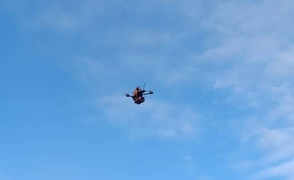 БПЛА должны помочь быстрее увидеть очаги пожаров.