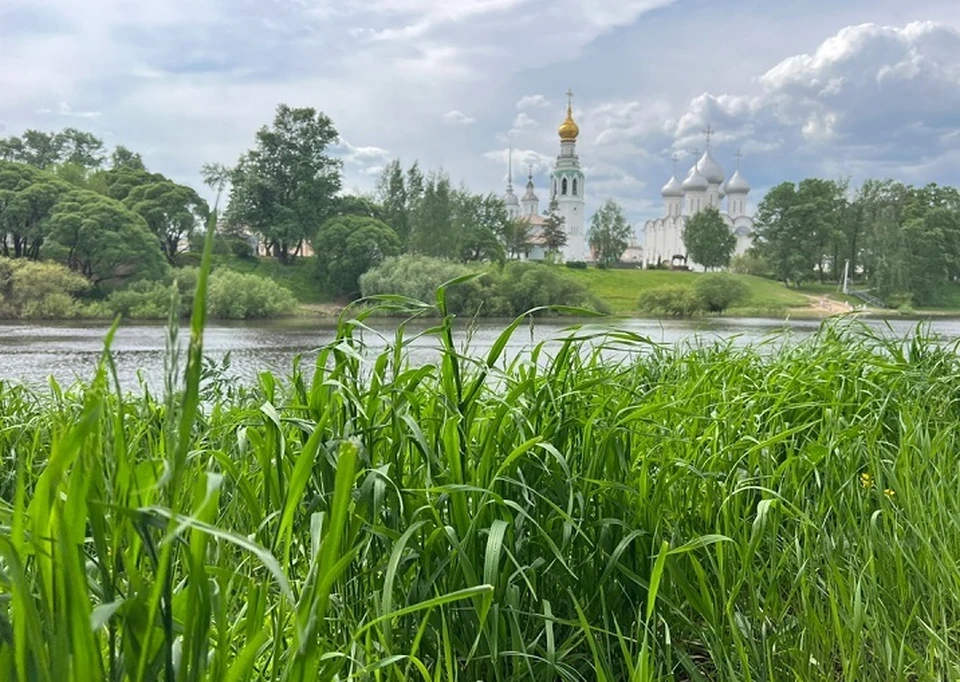 Фото: Ната Сучкова, ВКонтакте.